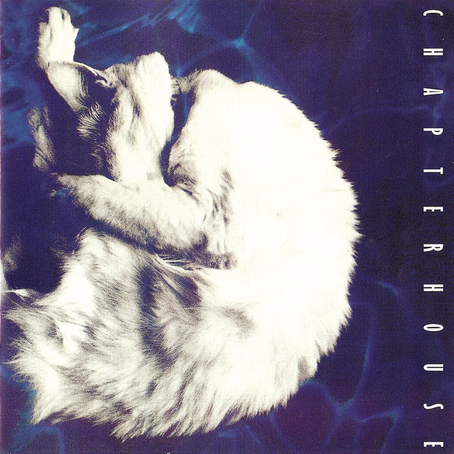 Whirlpool (Expanded Edition) album cover