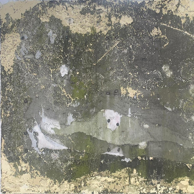 Experimental Health album cover