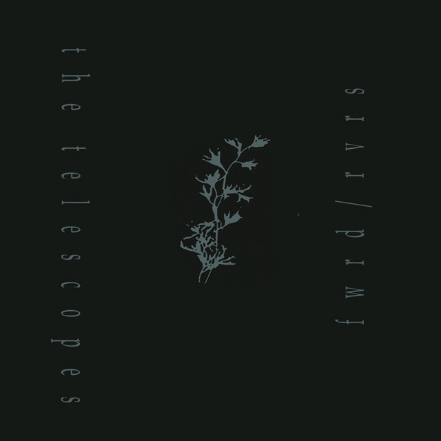 fwrd / rvrs album cover