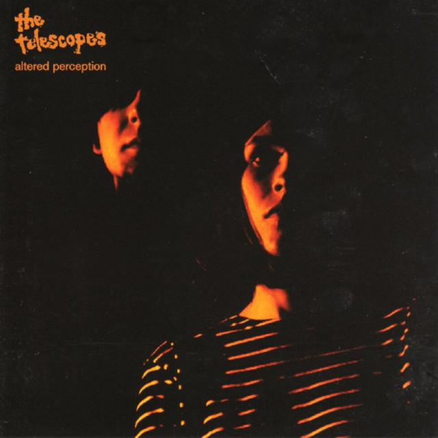 Altered Perception album cover