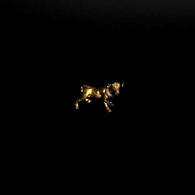 The Dark album cover