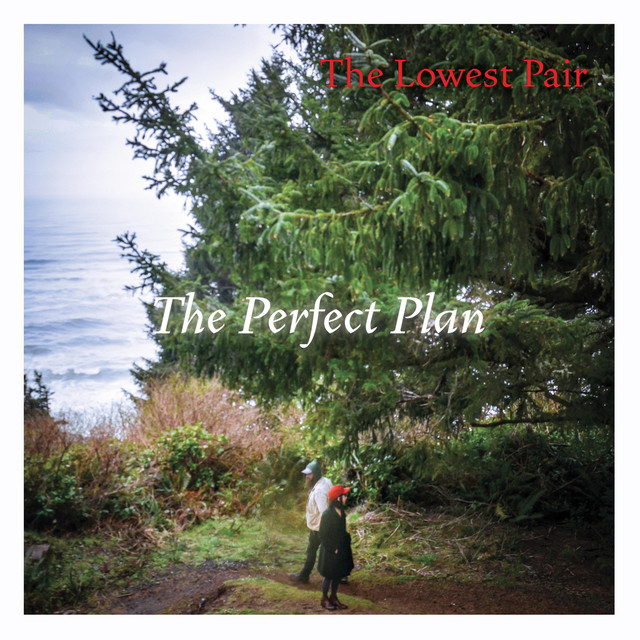 The Perfect Plan album cover