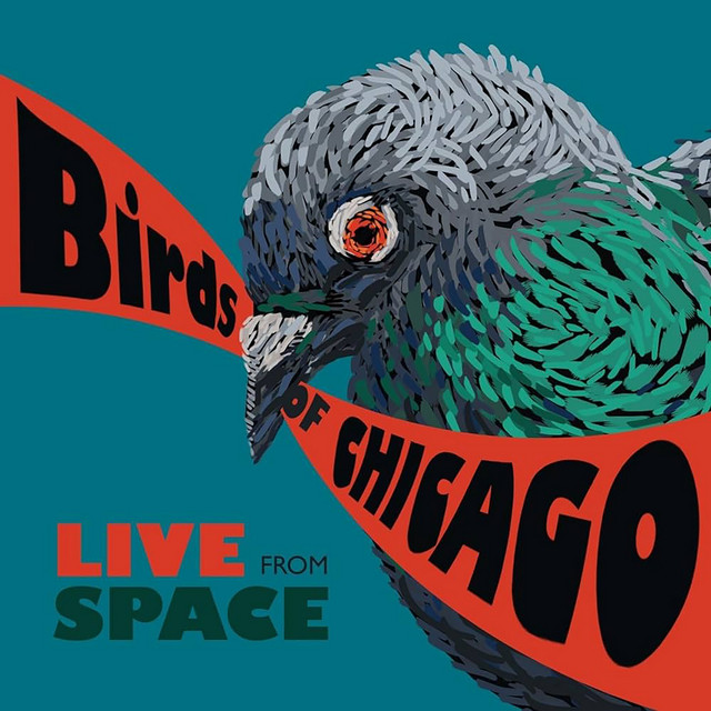 Live From Space (Evanston, Illinois / June 28, 2013) album cover