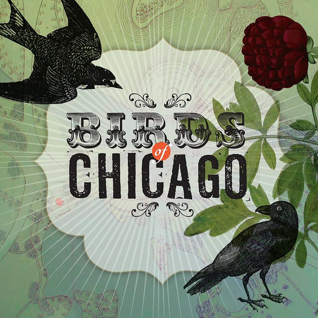 Birds Of Chicago album cover