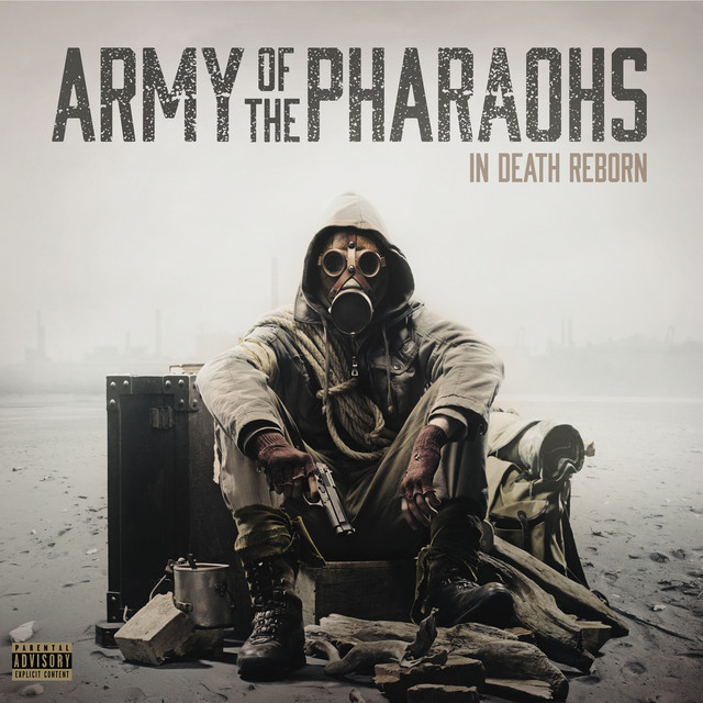 In Death Reborn album cover