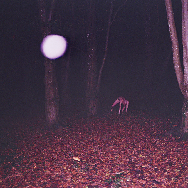Skinwalker album cover