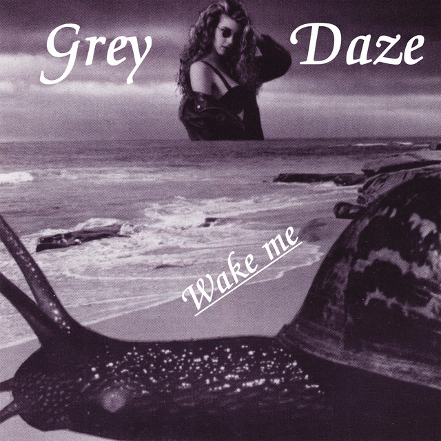 Wake Me album cover
