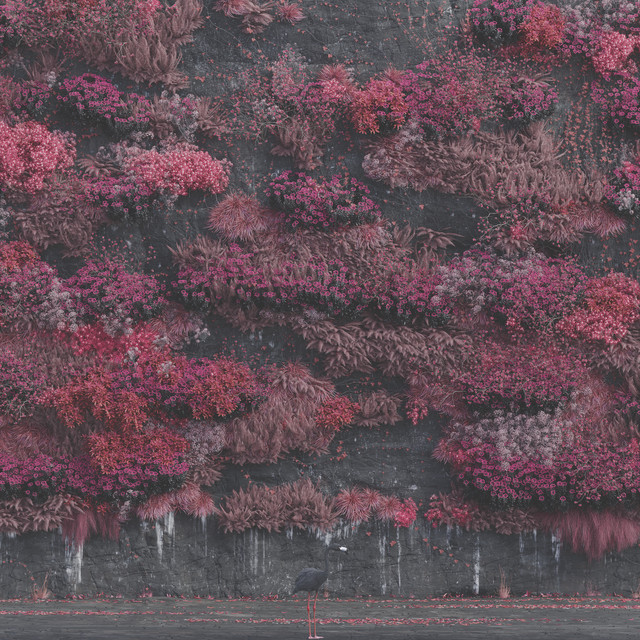 Even In Arcadia album cover