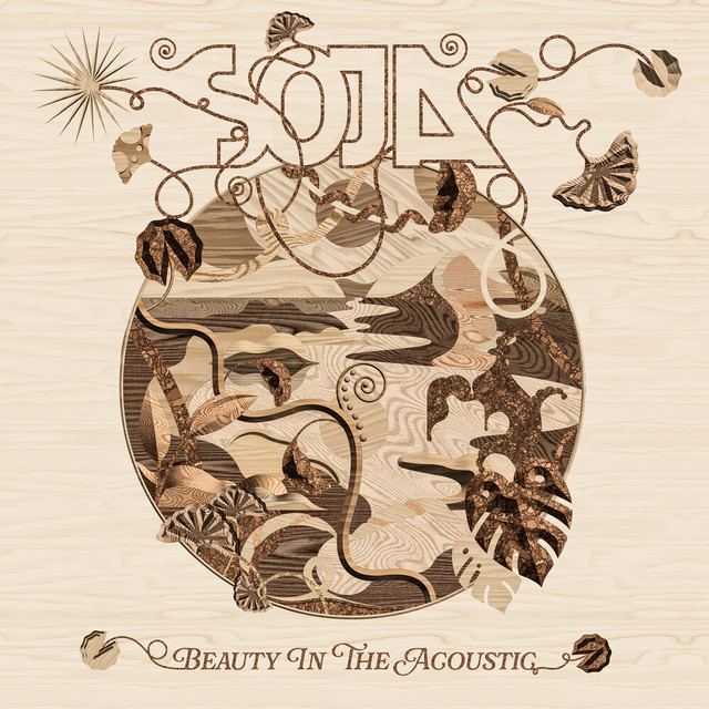 Beauty In The Acoustic album cover