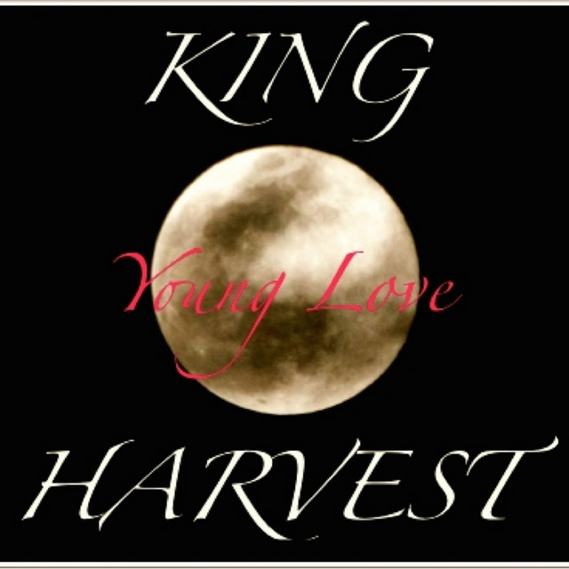 Young Love album cover