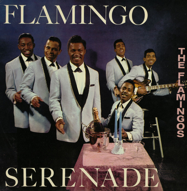 Flamingo Serenade album cover