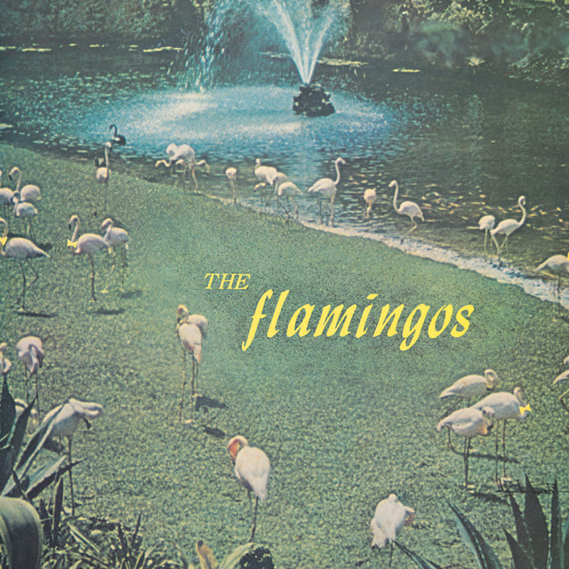 The Flamingos album cover
