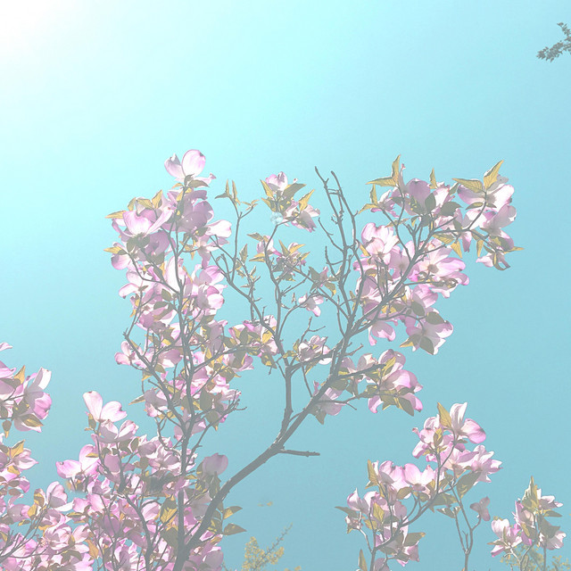 Solarium album cover