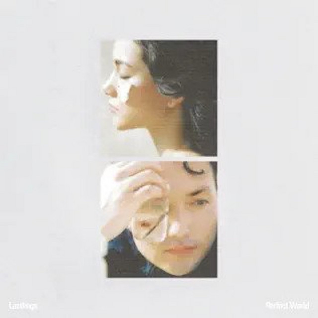Perfect World album cover