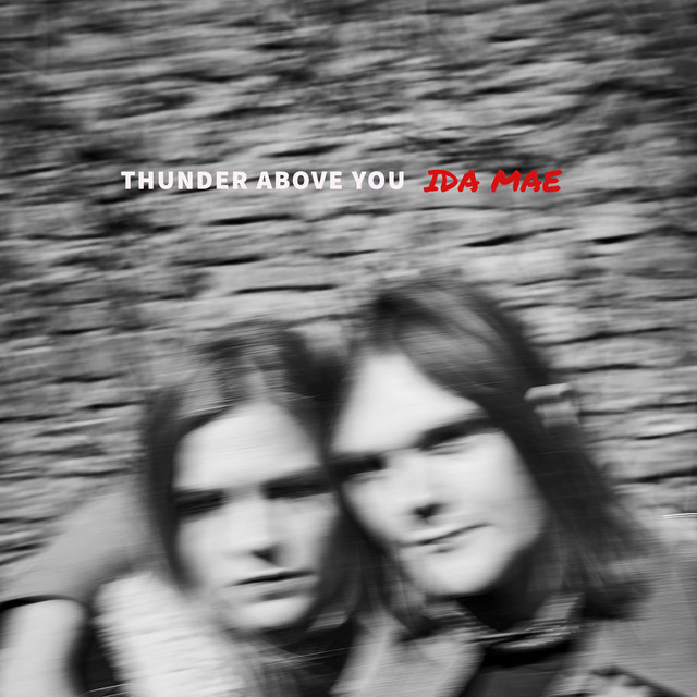 Mule Resonator as heard on Thunder Above You by Ida Mae (2023)