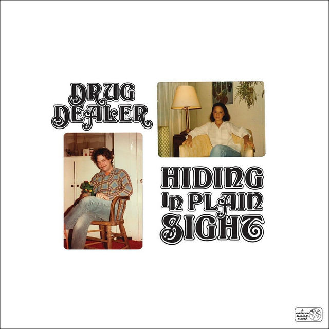 Hiding in Plain Sight album cover