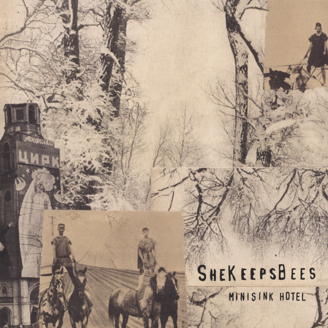 Minisink Hotel album cover