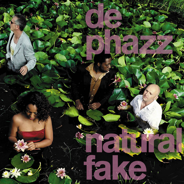 Natural Fake album cover