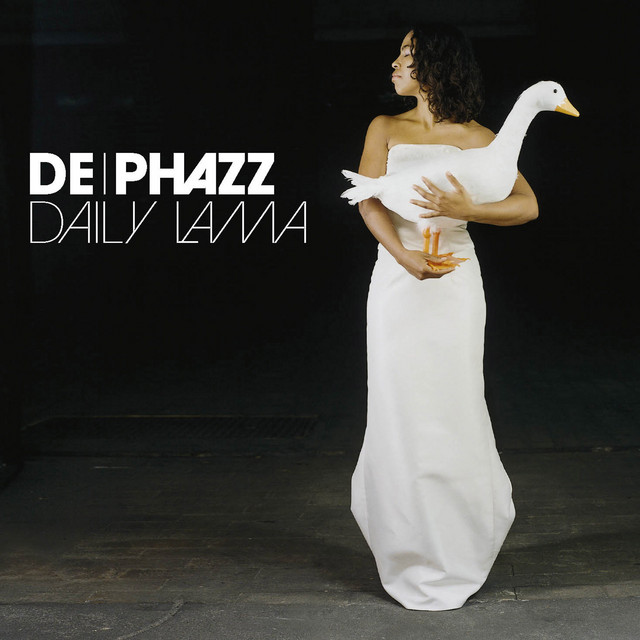 Daily Lama album cover