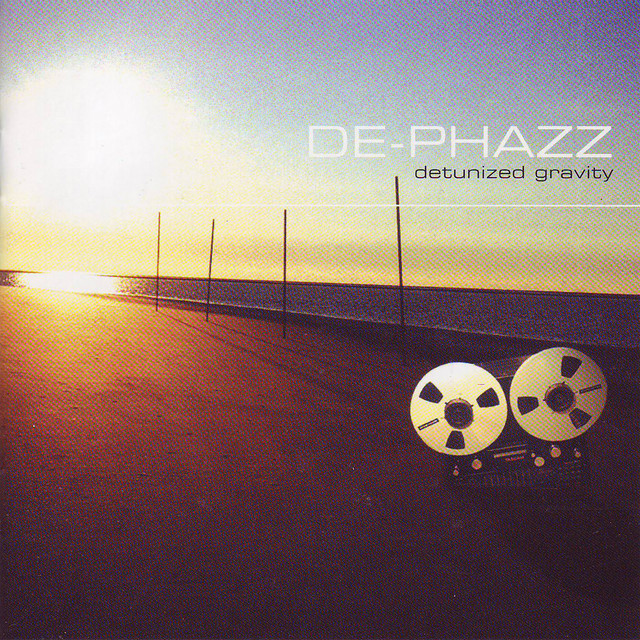 Detunized Gravity album cover
