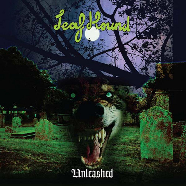Unleashed album cover