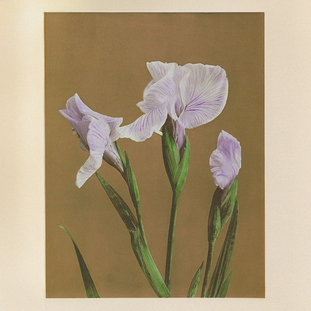 II = II album cover
