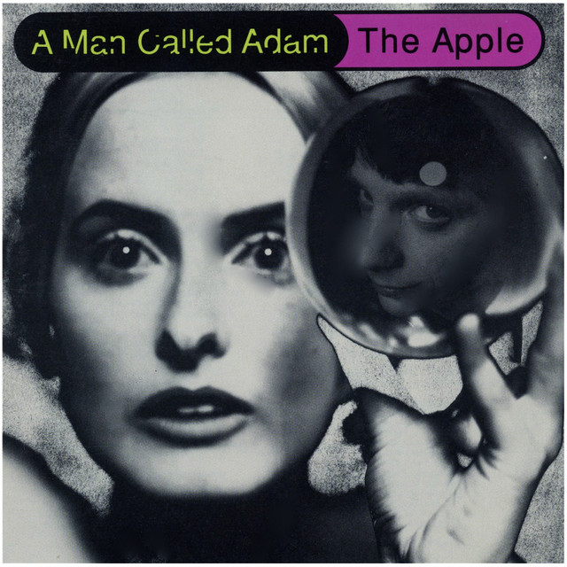 The Apple album cover