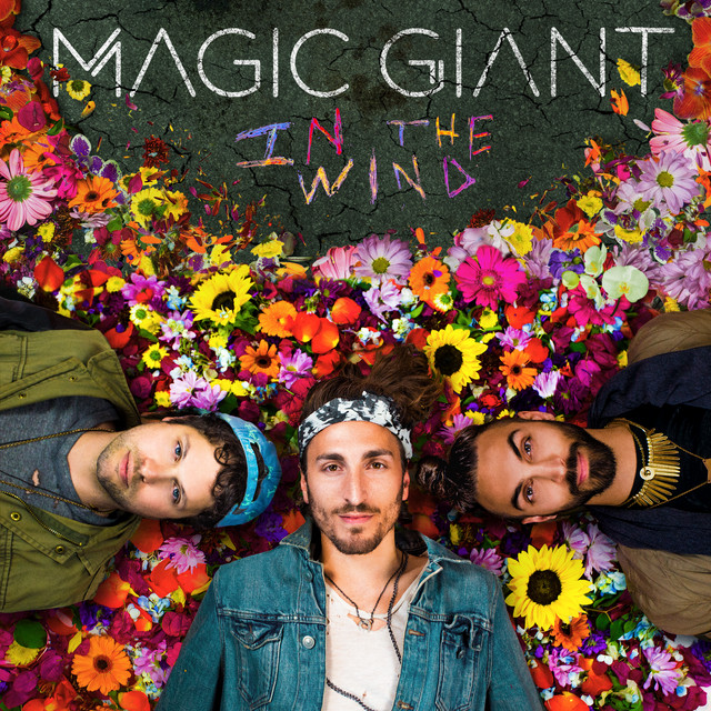 In The Wind album cover