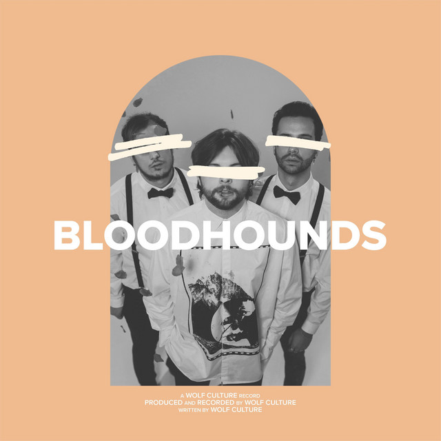 BLOODHOUNDS album cover