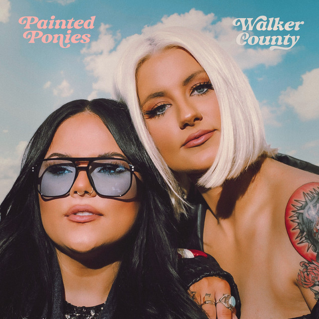 Painted Ponies album cover