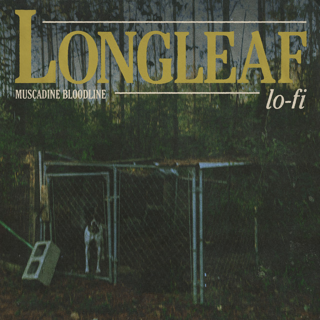 Longleaf Lo-fi album cover