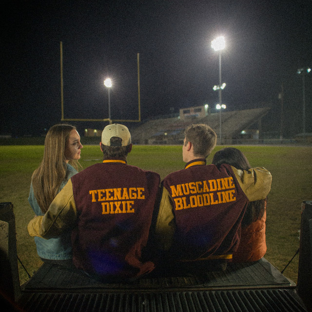 Teenage Dixie album cover