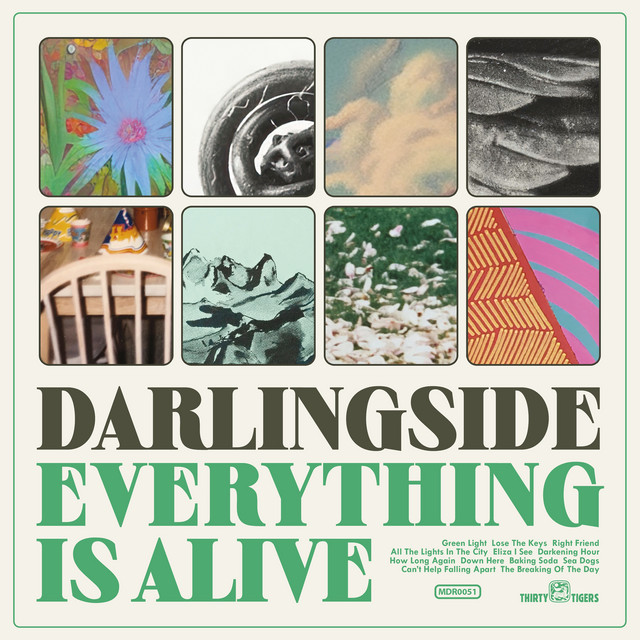 Everything Is Alive album cover