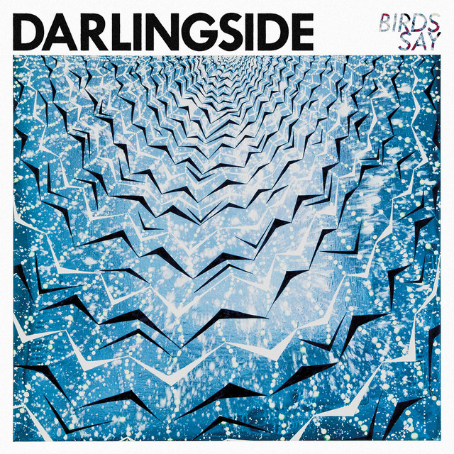 Birds Say (Deluxe) album cover