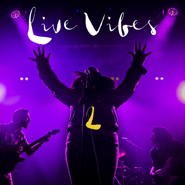 Live Vibes 2 album cover