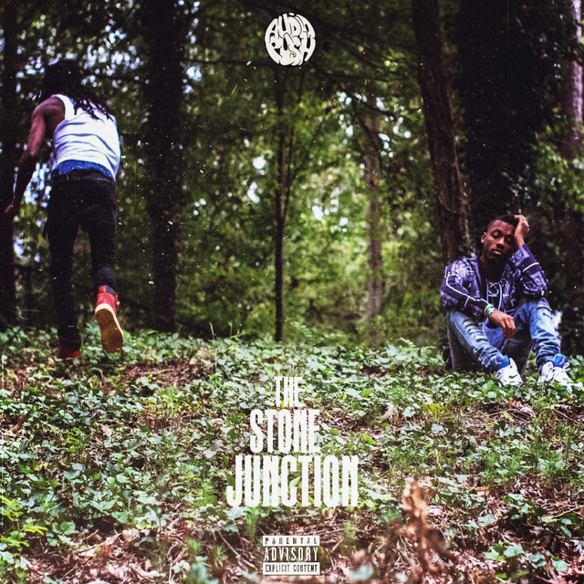 The Stone Junction album cover