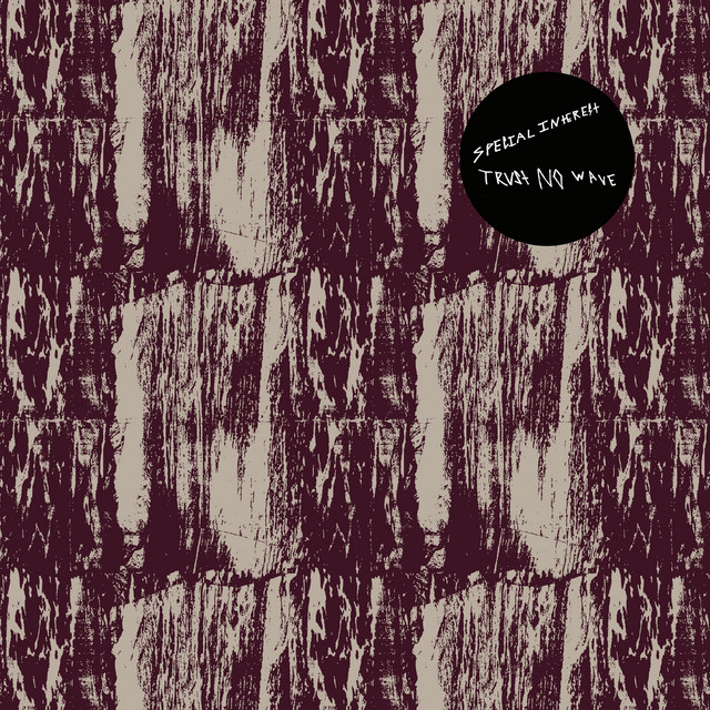 Trust No Wave album cover