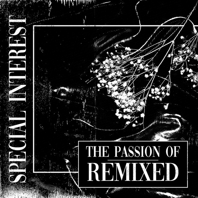 The Passion Of: Remixed album cover