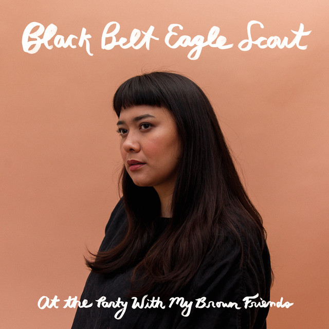 At the Party With My Brown Friends album cover
