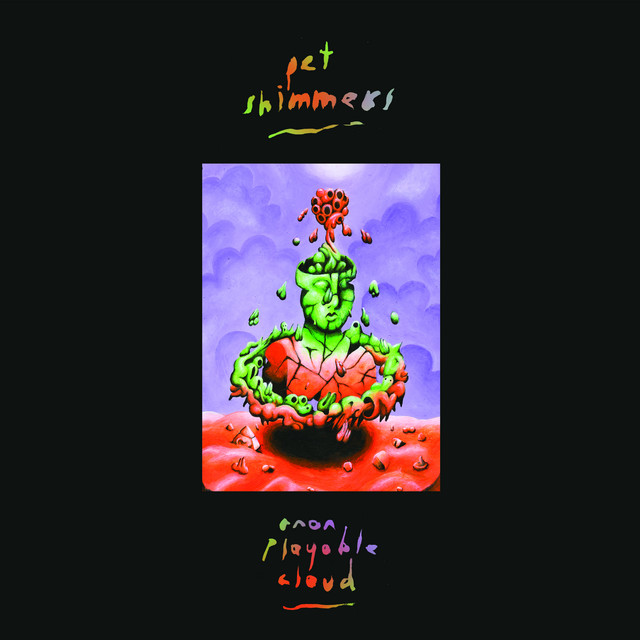 Anon Playable Cloud album cover