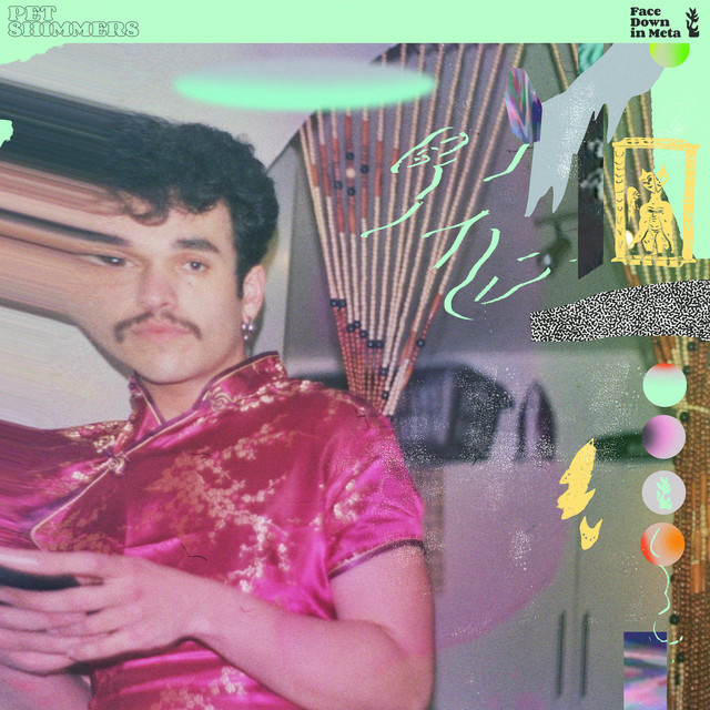 Face Down in Meta album cover