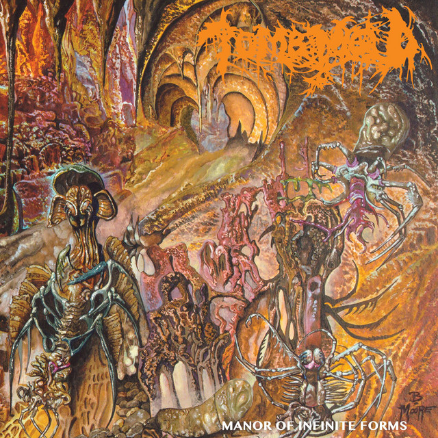 Manor of Infinite Forms album cover