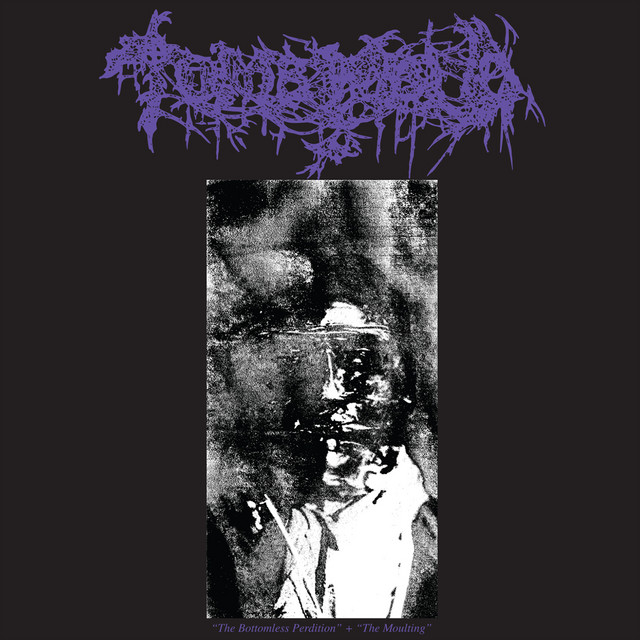 The Bottomless Perdition / The Moulting album cover