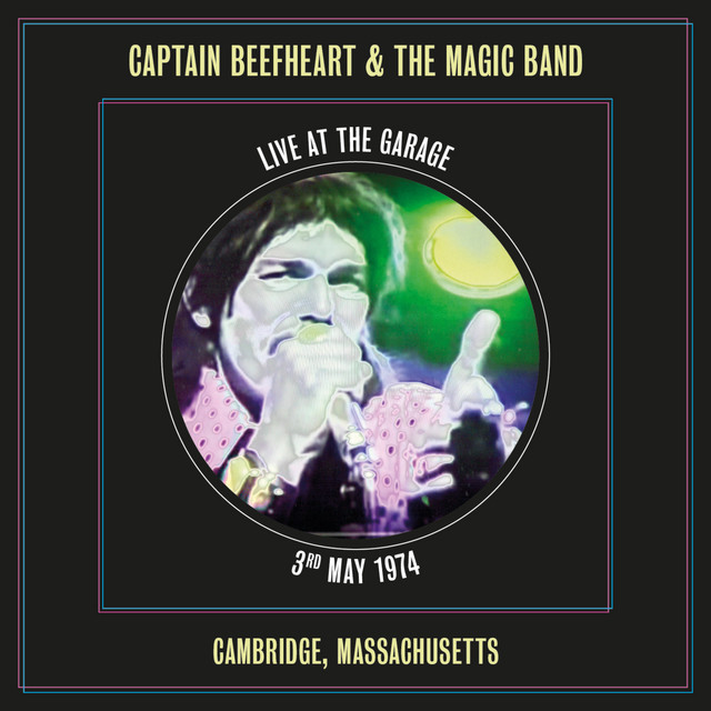 Fender  '65 Twin Reverb as heard on Live at the Garage by Captain Beefheart & His Magic Band (2019)