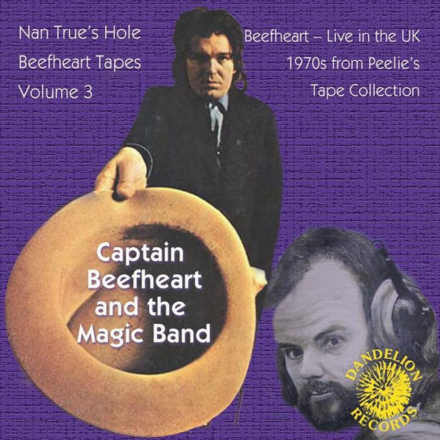The Nan True's Hole Tapes Volume 3 (Live) album cover