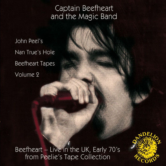 The Nan True's Hole Tapes Volume 2 (Live) album cover