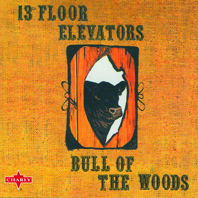 Bull Of The Woods album cover