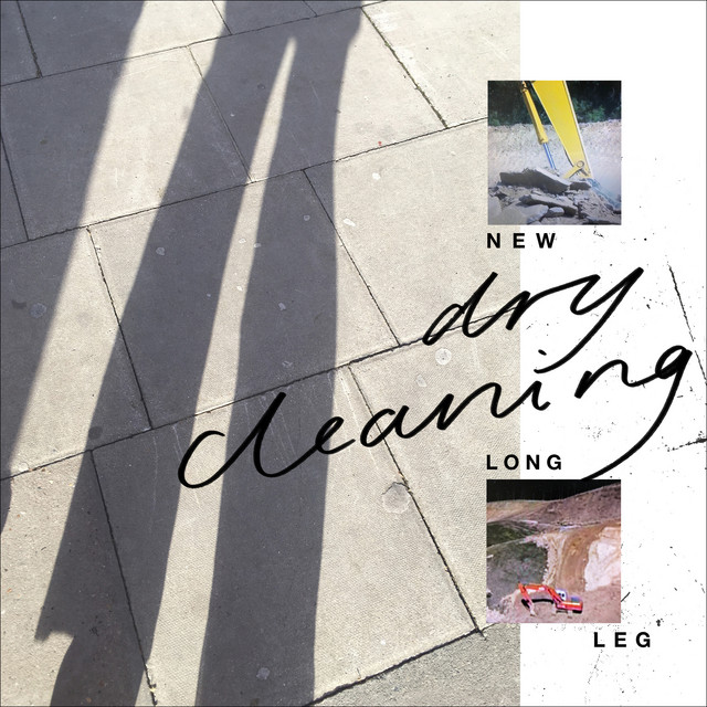 New Long Leg album cover
