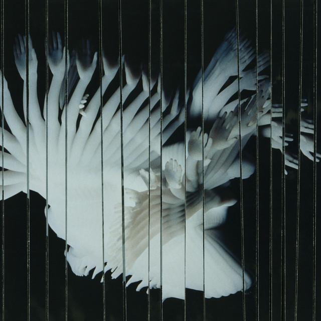 Endlessly album cover