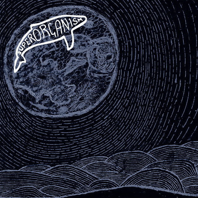 Superorganism (Instrumentals) album cover